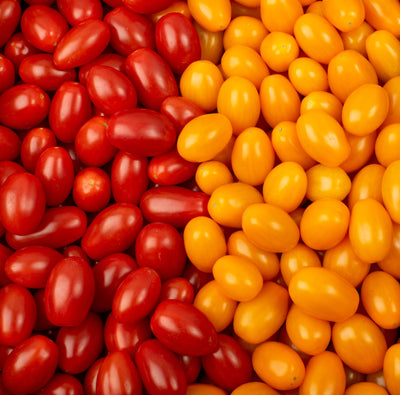 Tomatoes